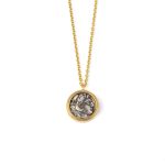 Hercules Coin Necklace
