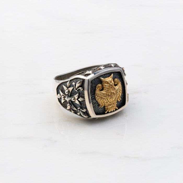 Owl Ring - 14k Solid Gold & Sterling Silver - Image 1