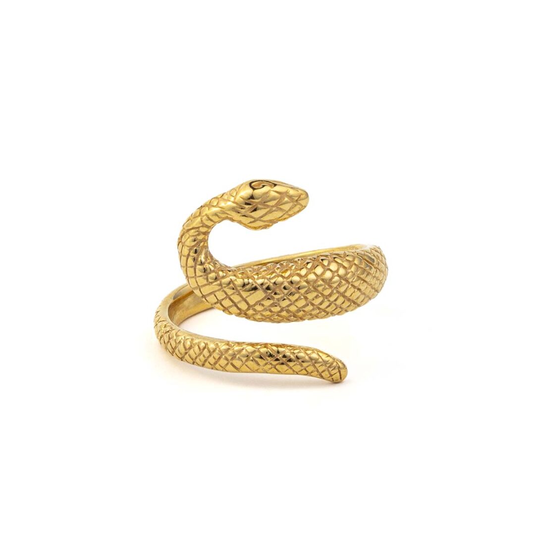 LI-DA-09856008-D580|LI-DA-09856008-D580b|package-roots Snake Silver Ring