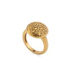 Kallisto Ring in Gold plated and 925 sterling silver - Image 3