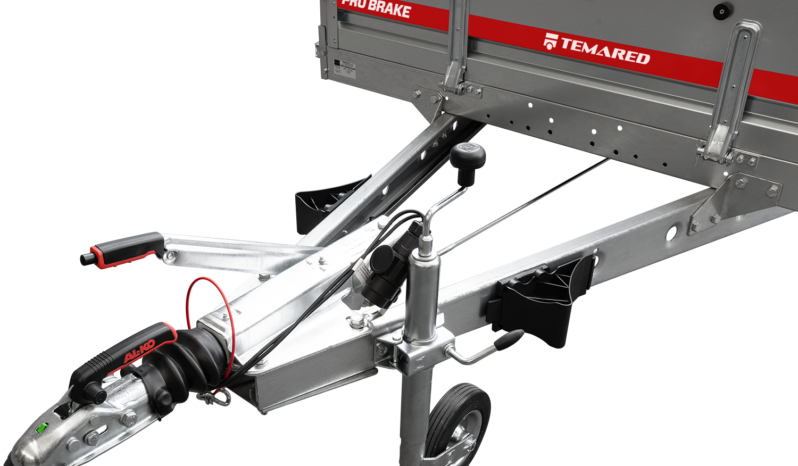 Μπαγκαζιέρα TEMARED PROBREAK 3015/2C 2000KG full