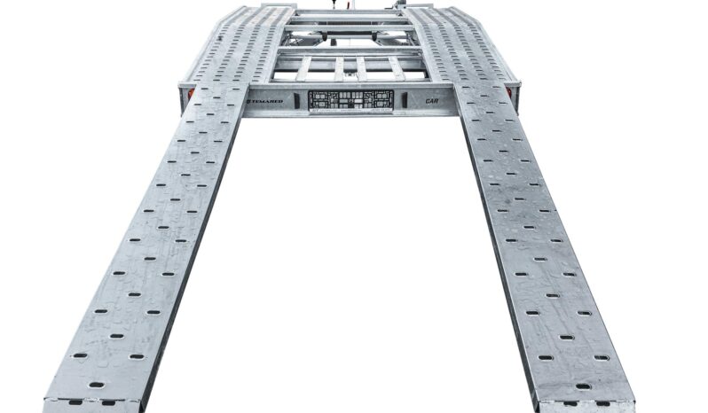 Temared Car 4020S 2700KG full